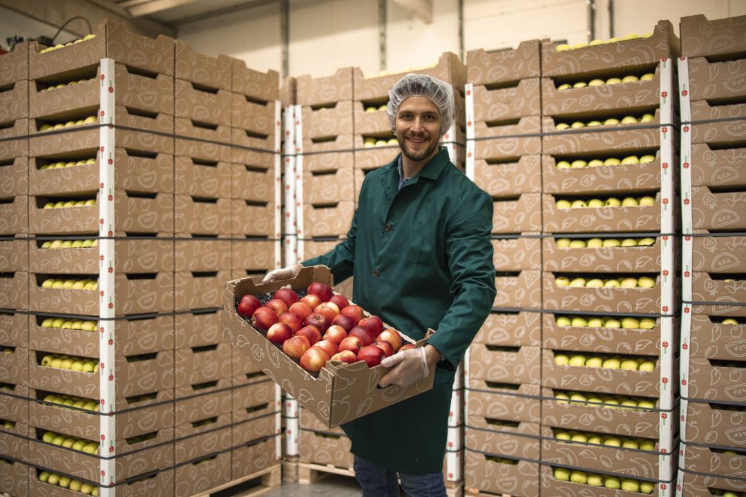 fruitpark-distribution